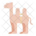 پیش‌نمایش فایل camel-3592933 از پک رمضان