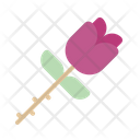 پیش‌نمایش فایل rose-4079479 از پک نمایش