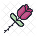پیش‌نمایش فایل rose-4079383 از پک نمایش