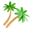 پیش‌نمایش فایل coconut-tree-6803274 از پک تابستان