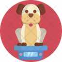 پیش‌نمایش فایل dog-3977112 از پک فروشگاه حیوانات خانگی