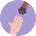 پیش‌نمایش فایل pet-care-3978191 از پک محافظت از حیوانات