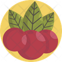 پیش‌نمایش فایل fruits-4059300 از پک شکرگزاری