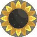 پیش‌نمایش فایل sunflower-4059297 از پک شکرگزاری