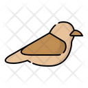 پیش‌نمایش فایل bird-2592121 از پک حیوانات