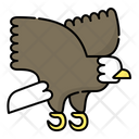 پیش‌نمایش فایل eagle-2592115 از پک حیوانات