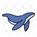 پیش‌نمایش فایل whale-2592123 از پک حیوانات