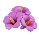 پیش‌نمایش فایل rose-of-sharon-6432348 از پک فرهنگ کره