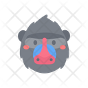 پیش‌نمایش فایل monkey-7173361 از پک صورت حیوان