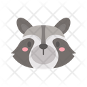 پیش‌نمایش فایل raccoon-7173380 از پک صورت حیوان