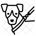 پیش‌نمایش فایل dog-in-leash-6379229 از پک سگ