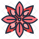پیش‌نمایش فایل poinsettia-6798886 از پک کریسمس