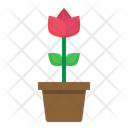 پیش‌نمایش فایل flower-pot-2712667 از پک مهمانی
