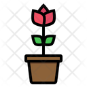 پیش‌نمایش فایل flower-pot-2712703 از پک مهمانی