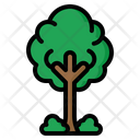 پیش‌نمایش فایل tree-3728916 از پک بوم شناسی