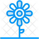 پیش‌نمایش فایل flower-10831477 از پک طبیعت
