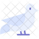 پیش‌نمایش فایل bird-10831491 از پک طبیعت
