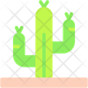 پیش‌نمایش فایل cactus-10831490 از پک طبیعت