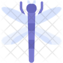 پیش‌نمایش فایل dragon-fly-10831482 از پک طبیعت