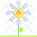 پیش‌نمایش فایل flower-10831507 از پک طبیعت