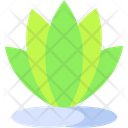 پیش‌نمایش فایل plant-10831506 از پک طبیعت