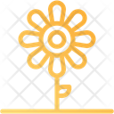 پیش‌نمایش فایل flower-10831582 از پک طبیعت