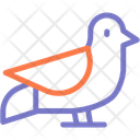 پیش‌نمایش فایل bird-10831798 از پک طبیعت