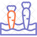 پیش‌نمایش فایل carrot-10831812 از پک طبیعت