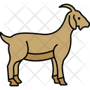 پیش‌نمایش فایل free-goat-8922641 از پک عید قربان