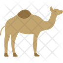 پیش‌نمایش فایل camel-9034777 از پک عید قربان