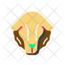 پیش‌نمایش فایل sheep-8976105 از پک عید قربان