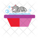 پیش‌نمایش فایل cat-bath-8996835 از پک خانه تکانی بهاری
