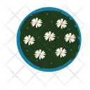 پیش‌نمایش فایل circle-9914735 از پک ارسال رایگان وارداتی