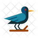 پیش‌نمایش فایل crow-6665789 از پک هالووین