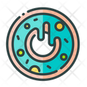 پیش‌نمایش فایل donut-6670019 از پک غذا و رستوران