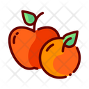 پیش‌نمایش فایل fruits-6666646 از پک خرید و غذا