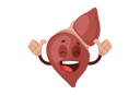 پیش‌نمایش فایل happy-liver-2705057 از پک کبد