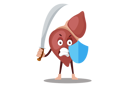 پیش‌نمایش فایل liver-is-holding-sward-and-shield-in-hand-2705064 از پک کبد