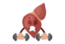پیش‌نمایش فایل liver-is-picking-up-dumbbells-2705069 از پک کبد