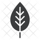 پیش‌نمایش فایل leaf-685 از پک فصل‌ها