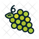 پیش‌نمایش فایل grapes-243 از پک فصل