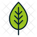 پیش‌نمایش فایل leaf-688 از پک فصل