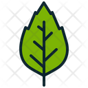 پیش‌نمایش فایل oak-47 از پک فصل