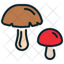 پیش‌نمایش فایل mushroom-429 از پک فصل‌ها
