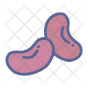 پیش‌نمایش فایل kidney-9602817 از پک میوه‌ها و سبزیجات