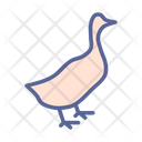 پیش‌نمایش فایل duck-9662594 از پک غذا