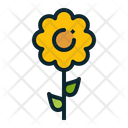 پیش‌نمایش فایل flower-1452585 از پک فصل‌ها