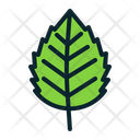 پیش‌نمایش فایل leaf-1452612 از پک فصل‌ها