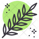پیش‌نمایش فایل acacia-1473244 از پک روزه