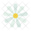 پیش‌نمایش فایل chamomile-1556819 از پک عید پاک